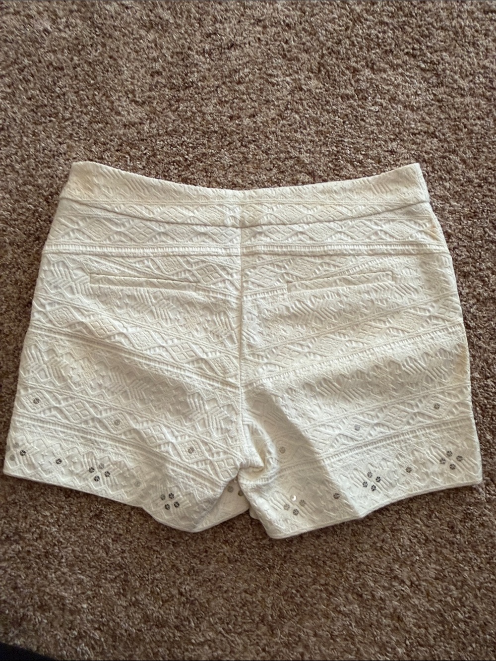 Anthropologie Cream Embroidered High-Waist Shorts - Picture 5 of 11